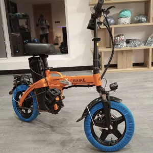 Electric Bike