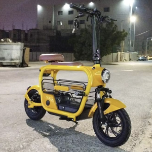 Minion Electric Scooter