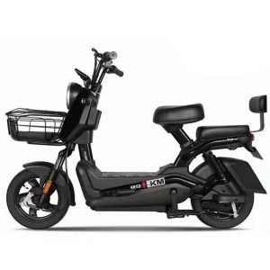 JY 1 Electric Delivery Bike